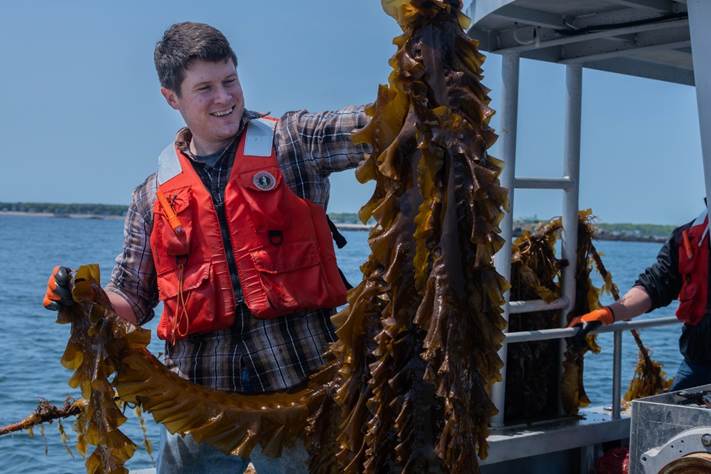 A U N E student holding sea kelp