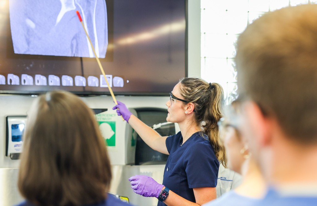 A student in blue scrubs uses a pointer to point to an area on an anatomical image
