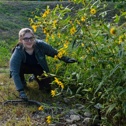 A U N E student works in the native garden on the Biddeford campus