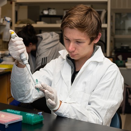 A student working in a lab