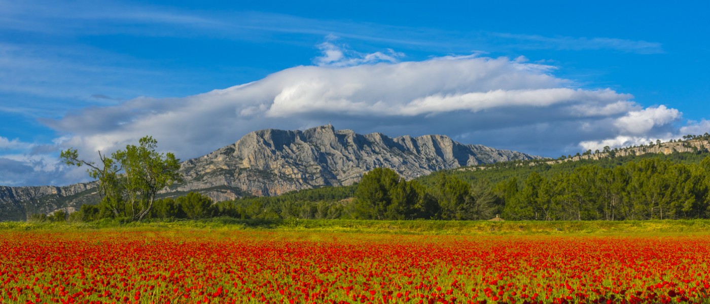 Sainte-Victoire Mountain near Aix-en-Provence