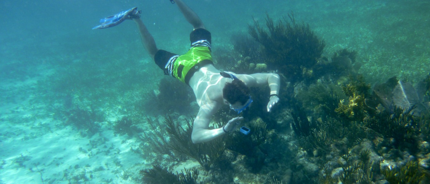 Snorkeling in Belize 2019