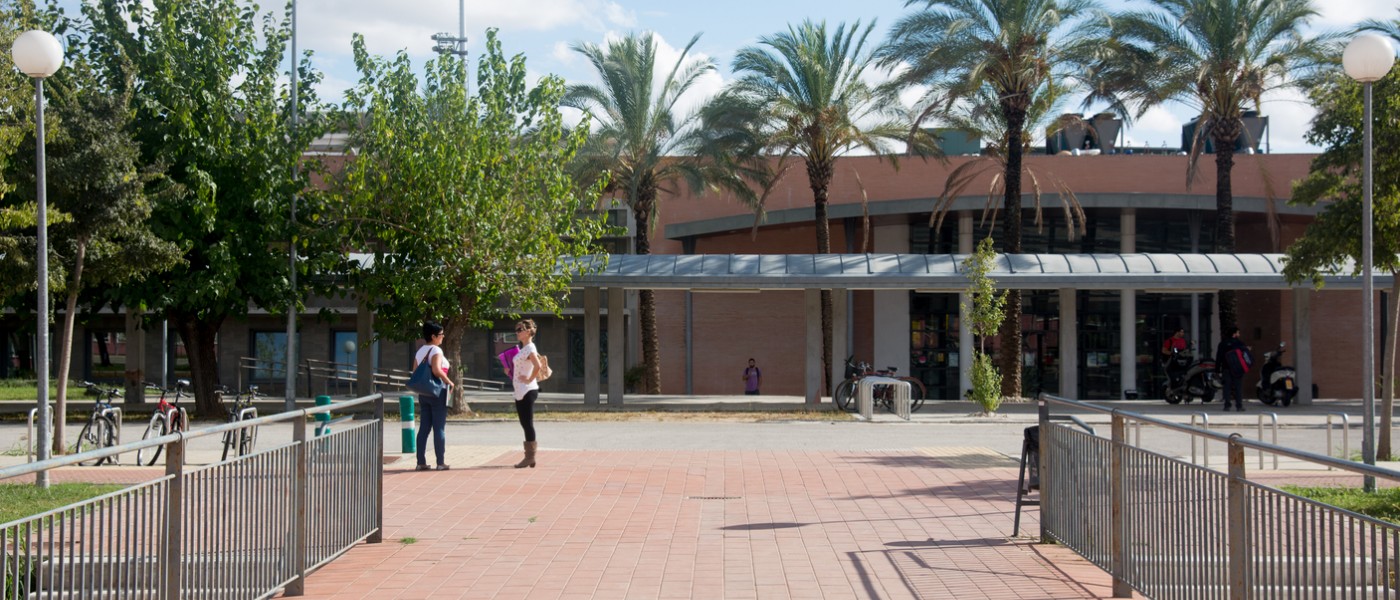 Palm trees on UPO Campus