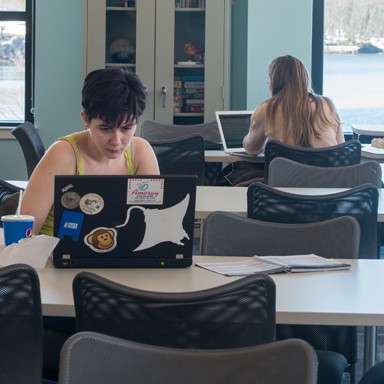 Students studying in the Student Academic Success Center
